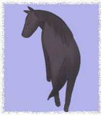 rin le cheval